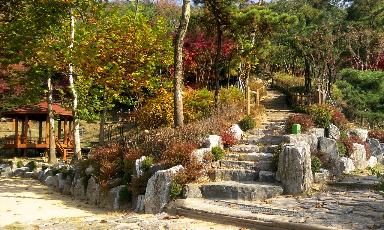 autumn gil forest road free photo