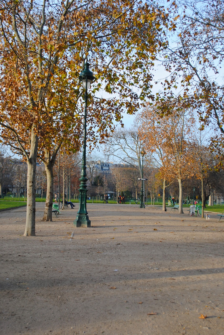 autumn paris park free photo