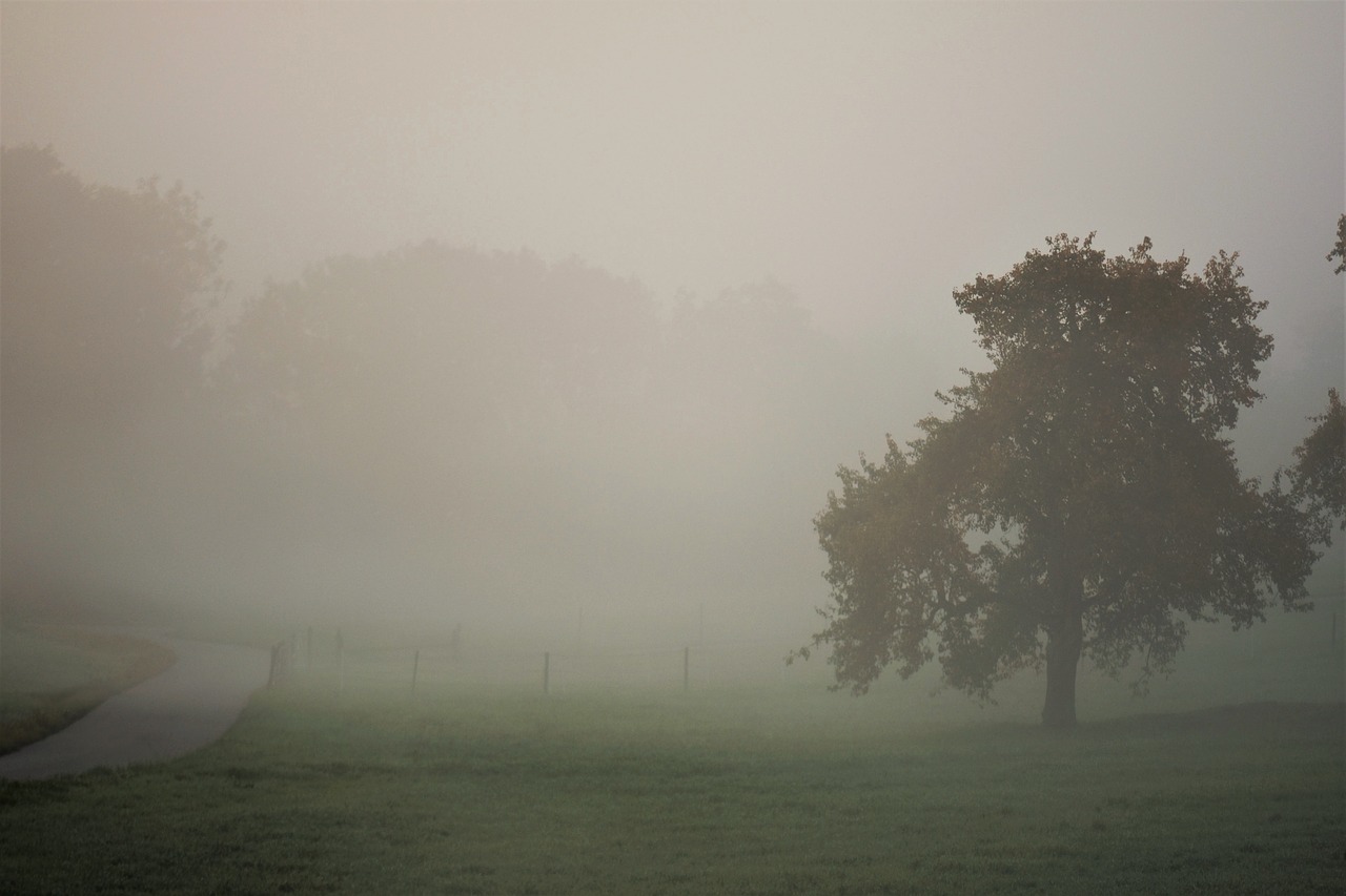 autumn landscape fog free photo