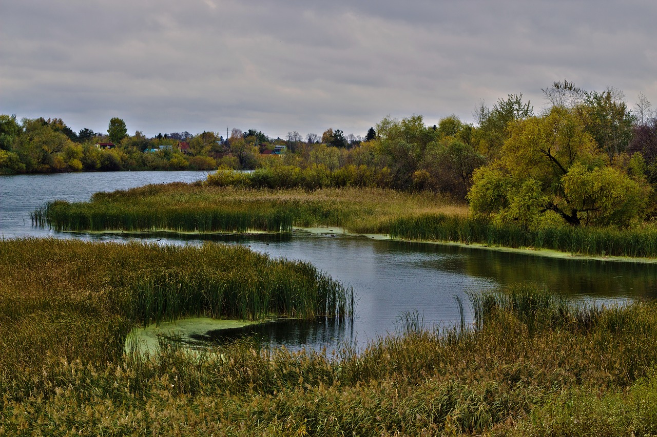 autumn river landscape free photo