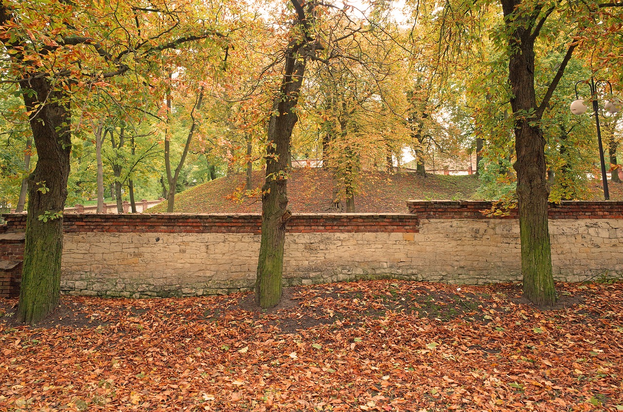 autumn foliage lake dusia free photo