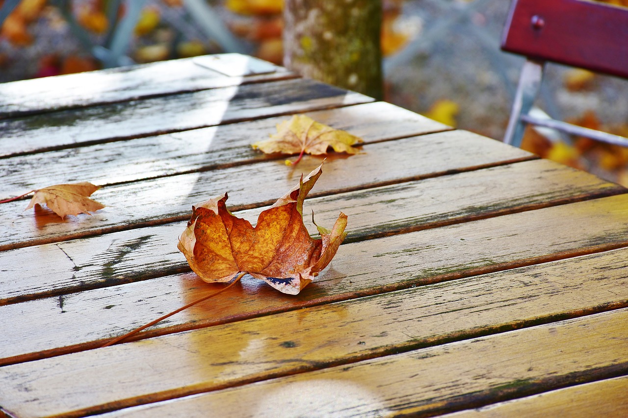 autumn beer garden chairs free photo