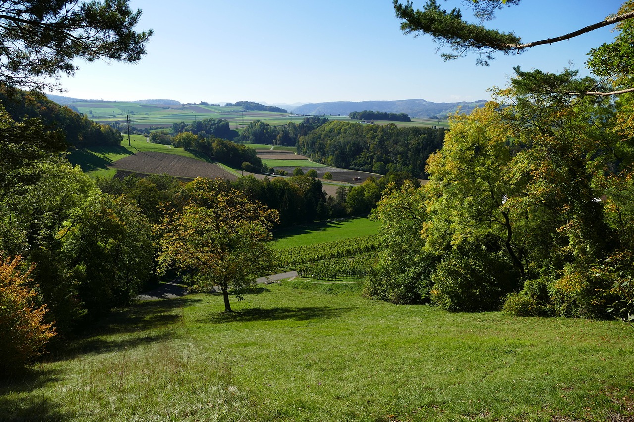 autumn meadow nature free photo