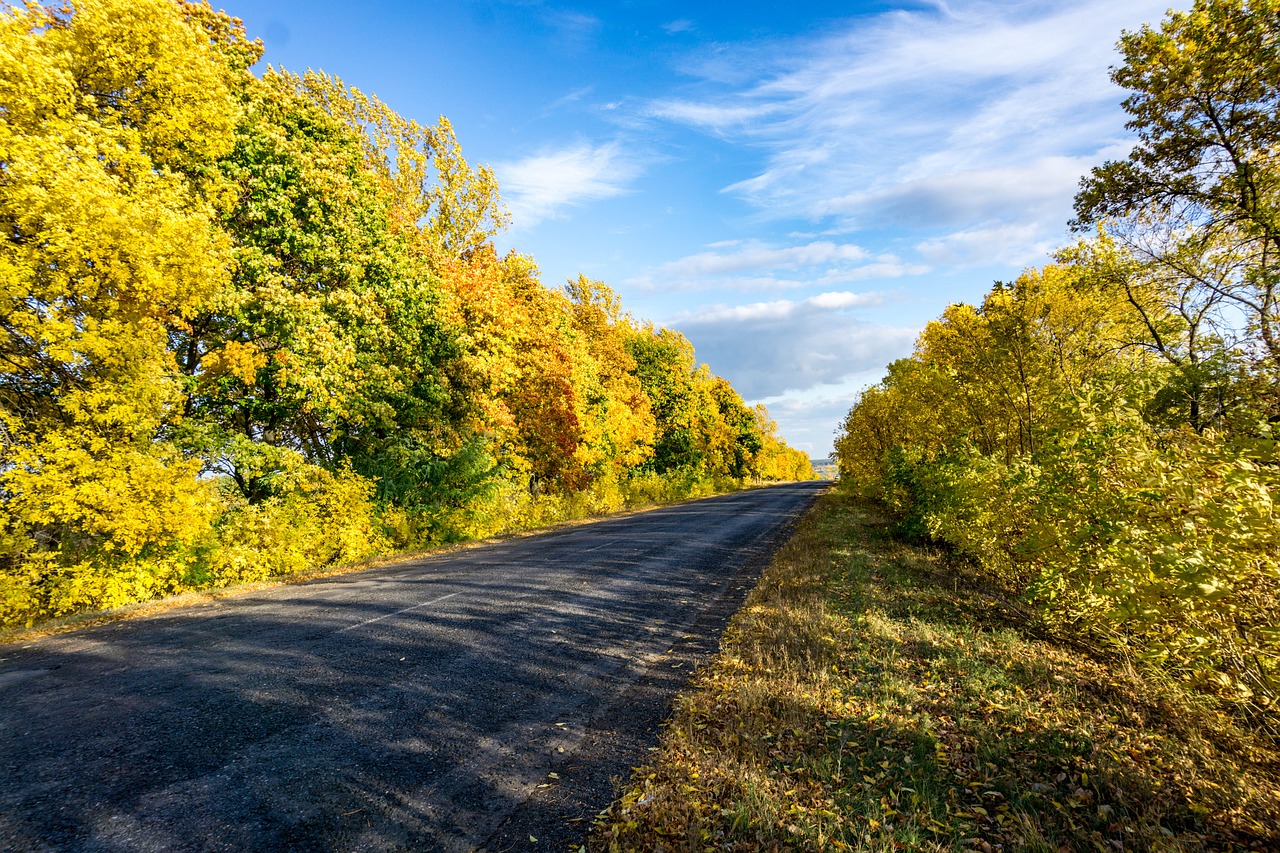 autumn color road free photo