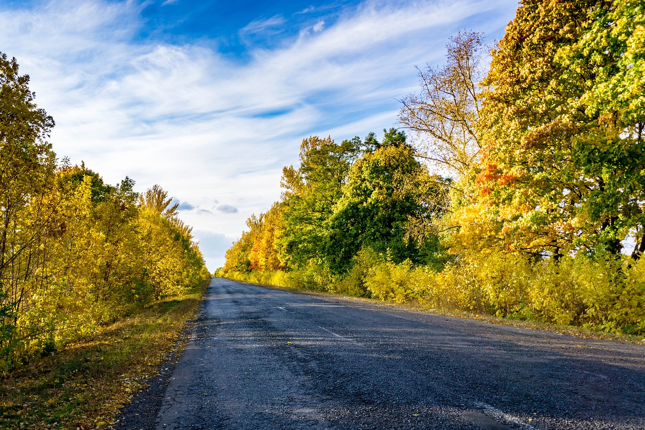 autumn color road free photo