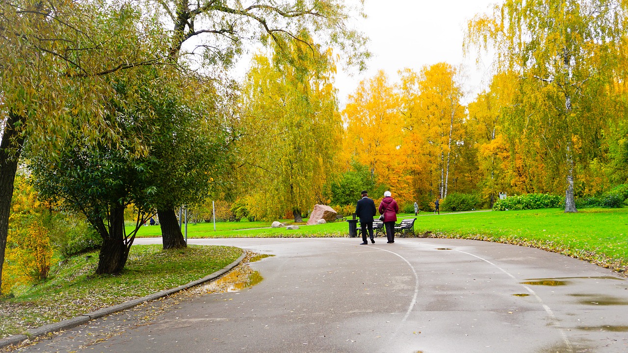 autumn season fall free photo