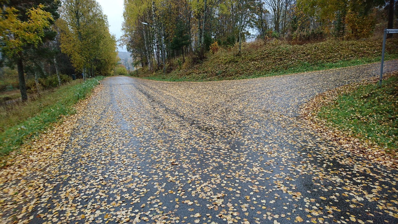 autumn autumn leaves road free photo