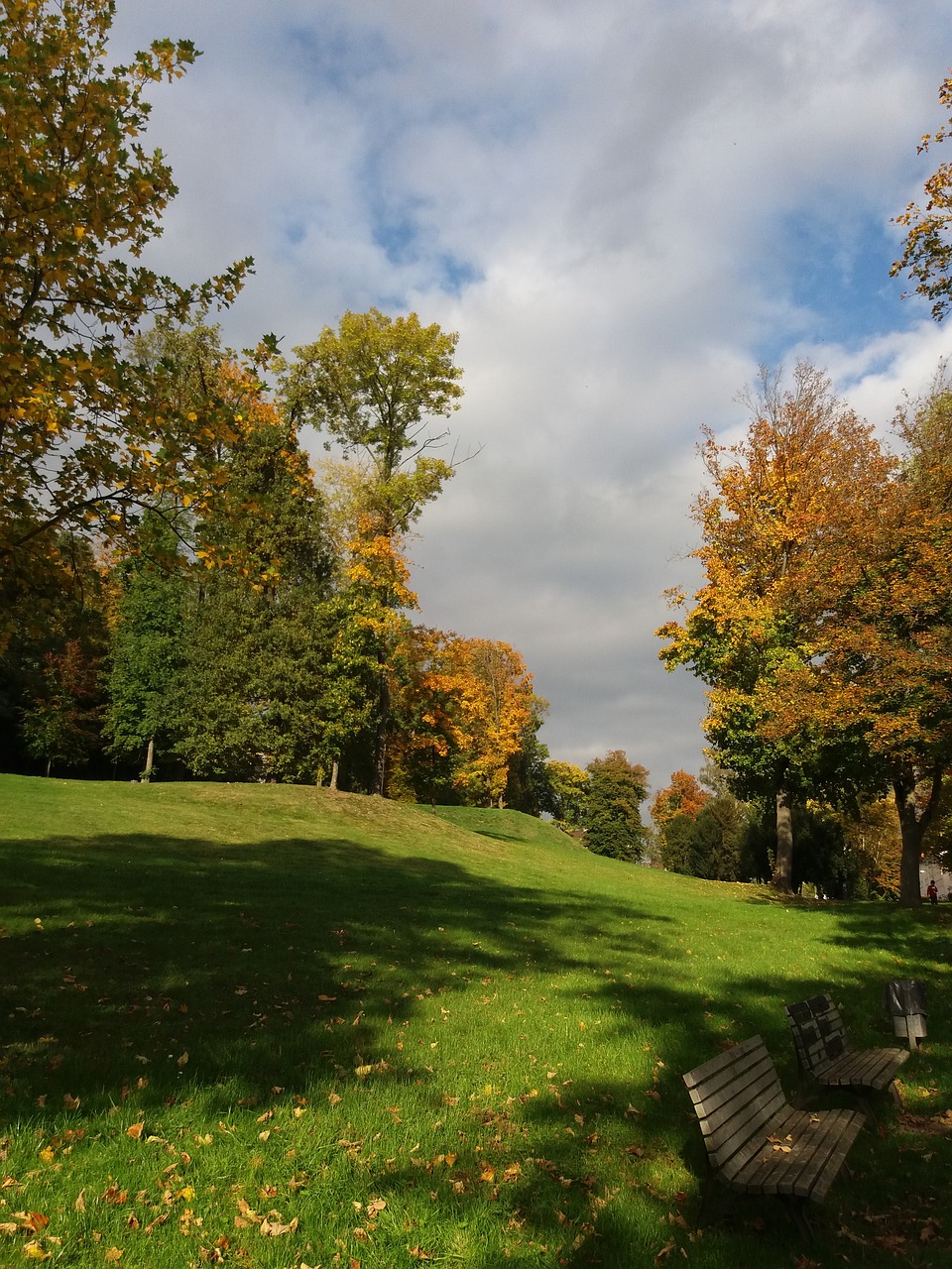 autumn nature tree free photo