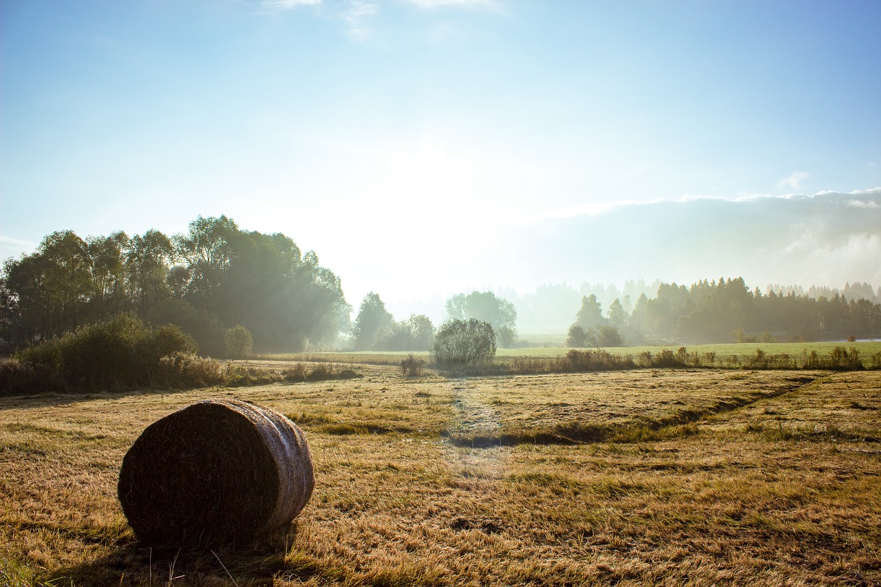 autumn allgäu fog free photo