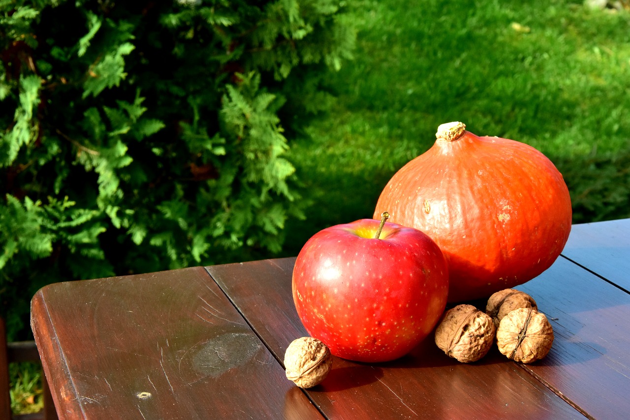 autumn pumpkin walnut free photo