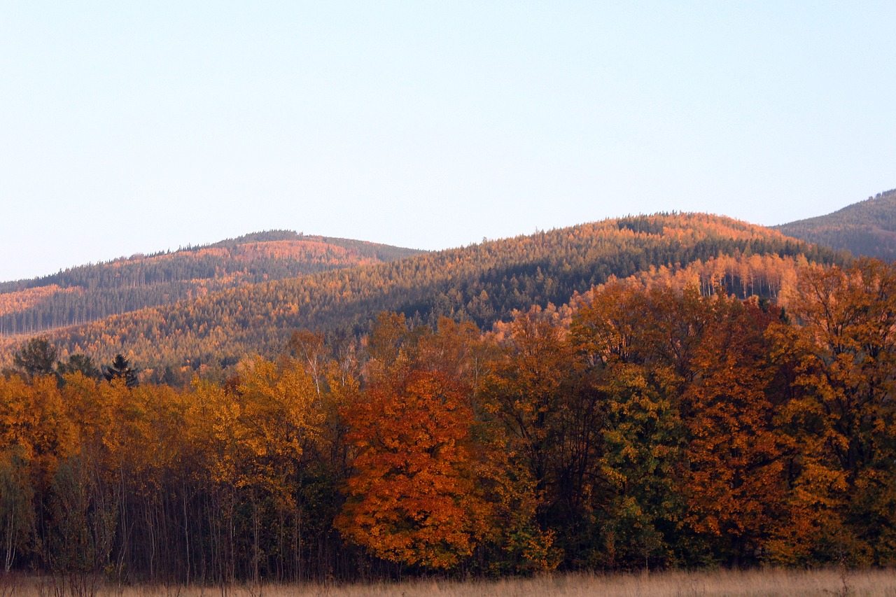 autumn mountains color free photo