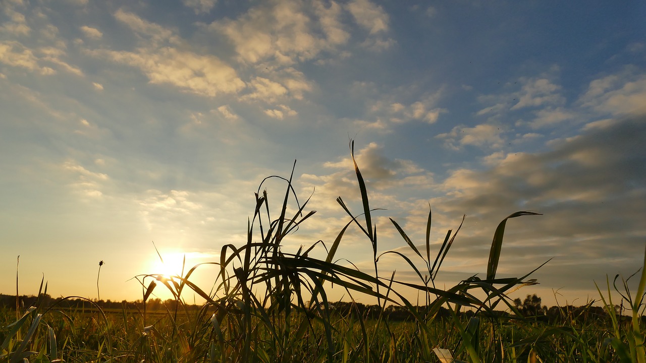 autumn nature sunset free photo