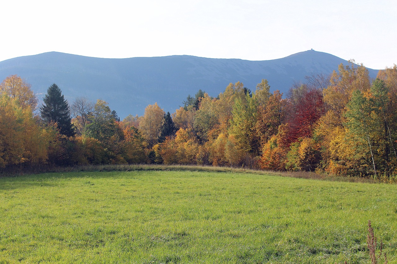 autumn landscape colors free photo