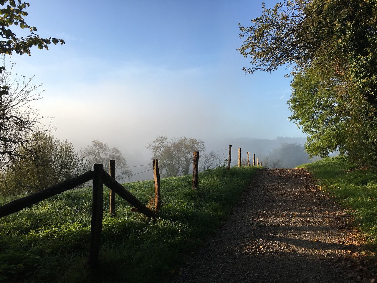 autumn fog away free photo