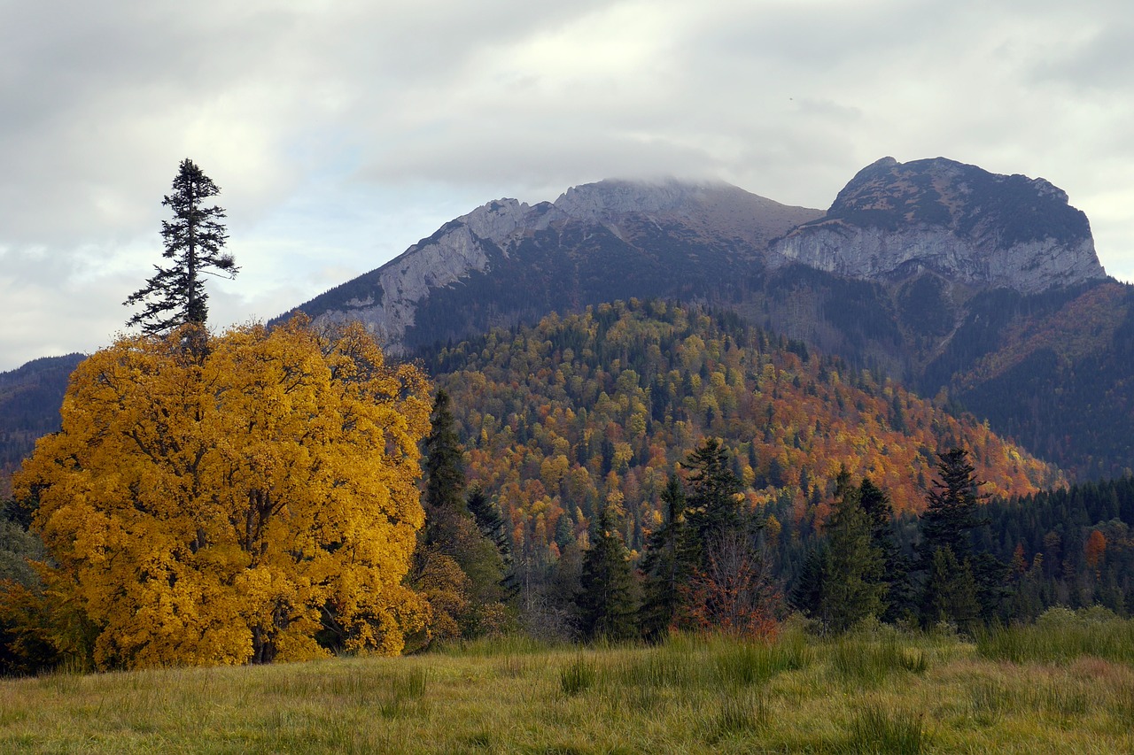 autumn colors mountains free photo