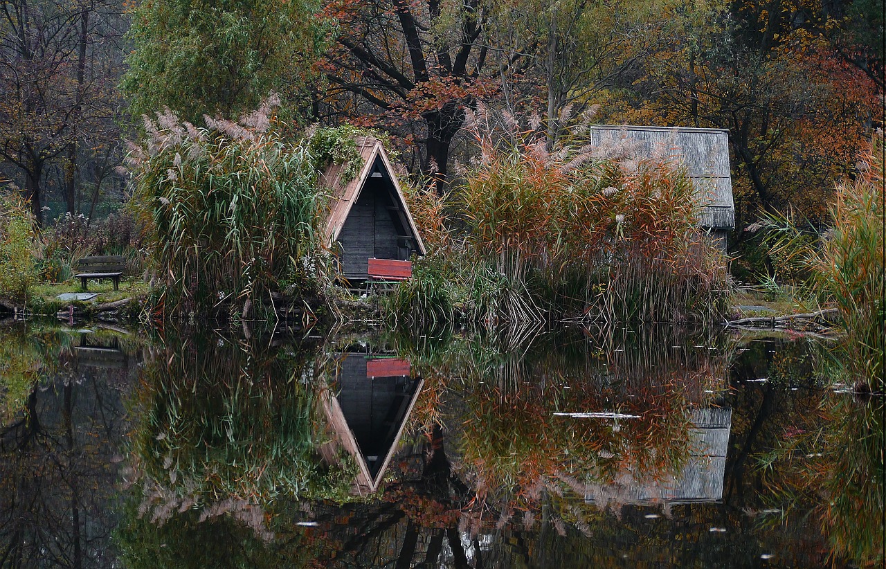 autumn lake waterfront free photo