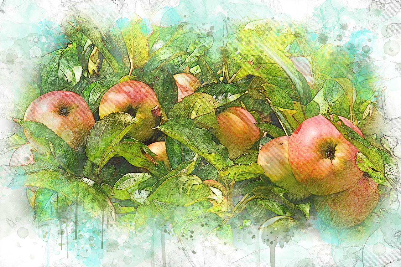autumn harvest apples free photo