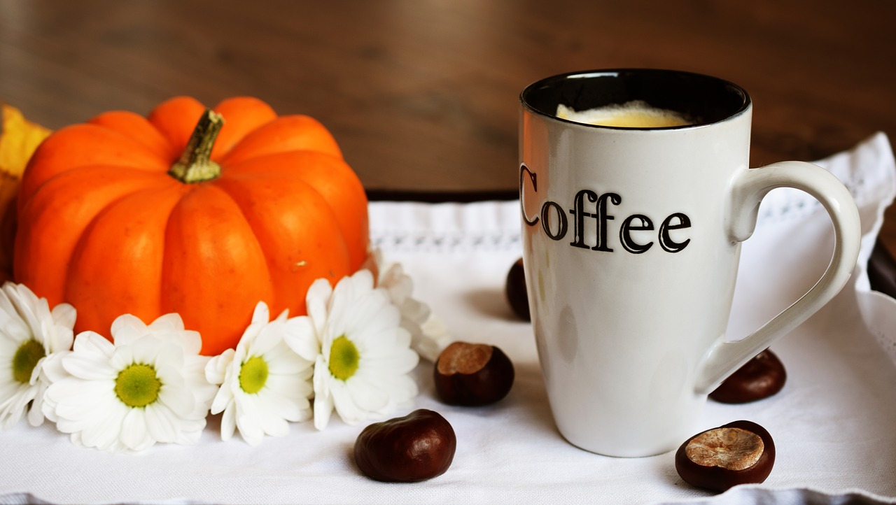 autumn coffee pumpkin free photo