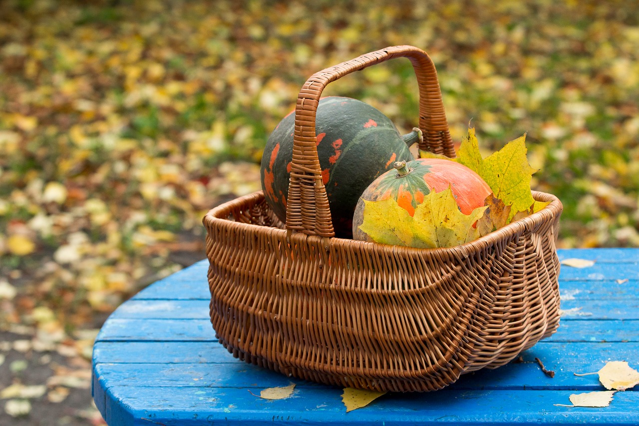 autumn harvest pumpkin free photo