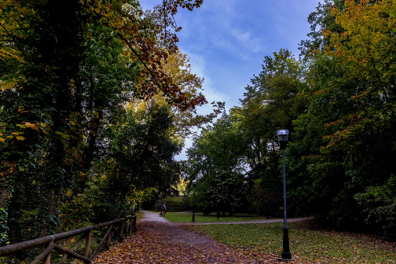 autumn foliage colors free photo