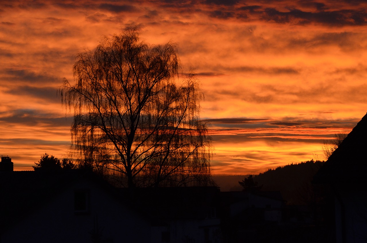 autumn sunset golden autumn free photo