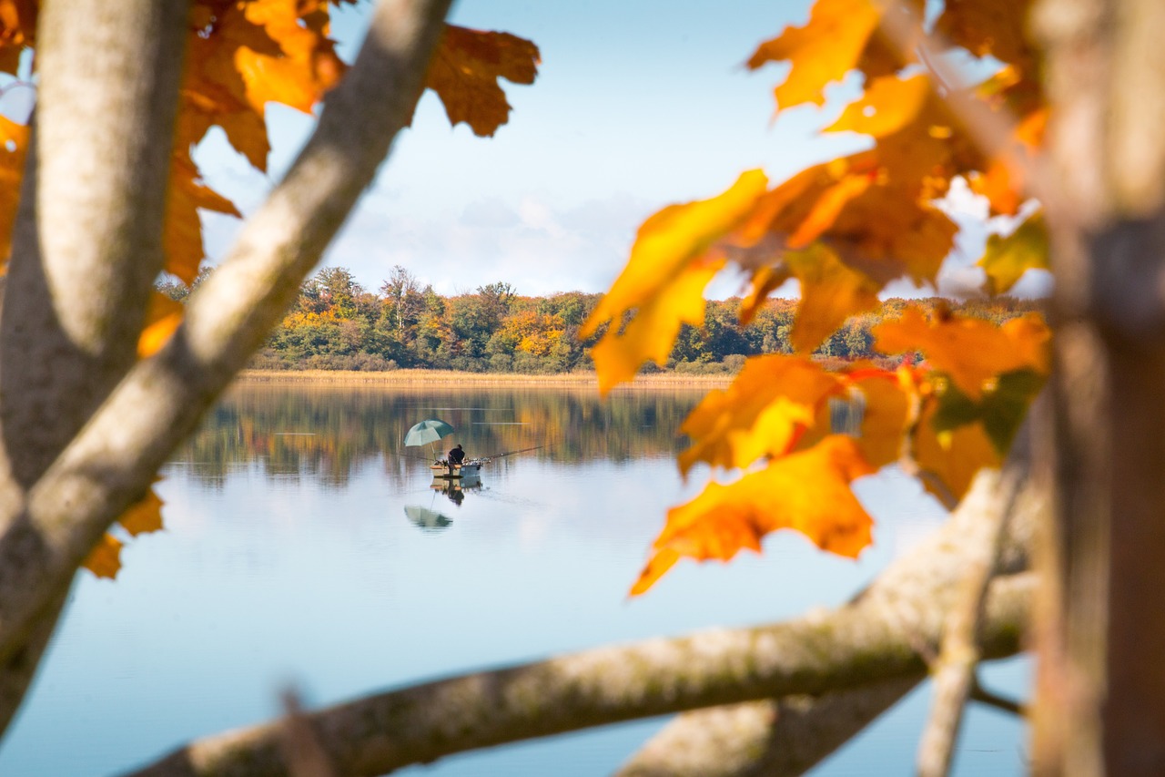 autumn pond water free photo