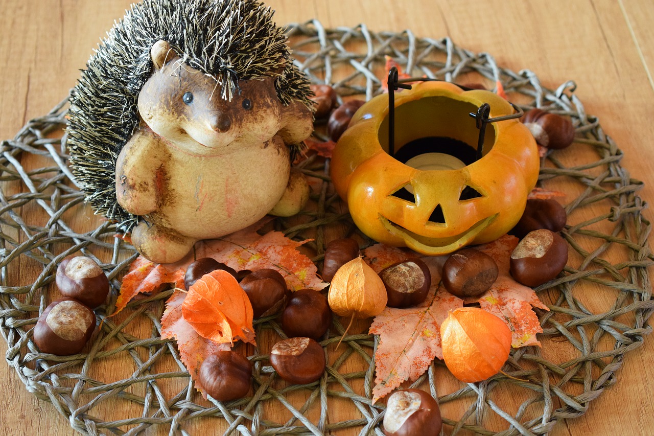 autumn hedgehog halloween free photo