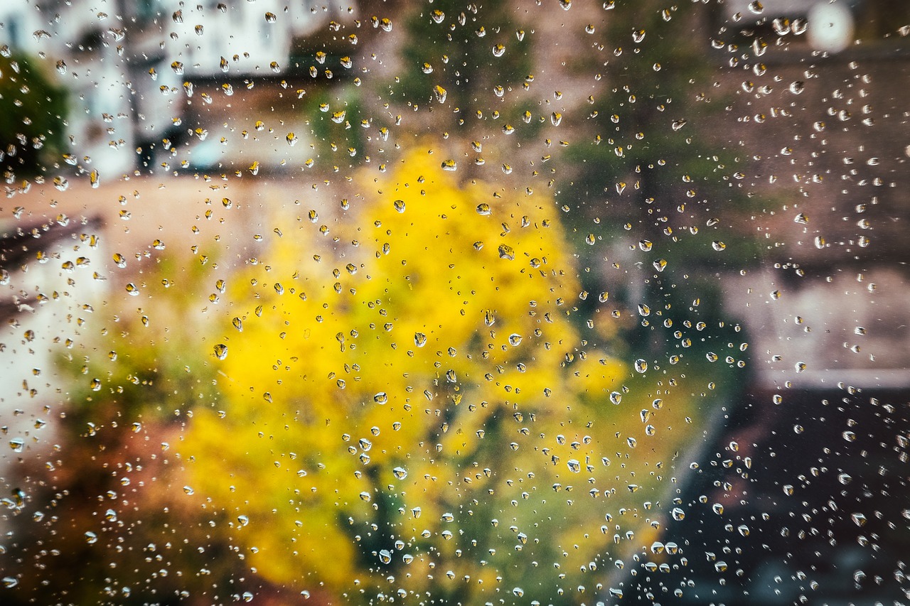 autumn window raindrop free photo