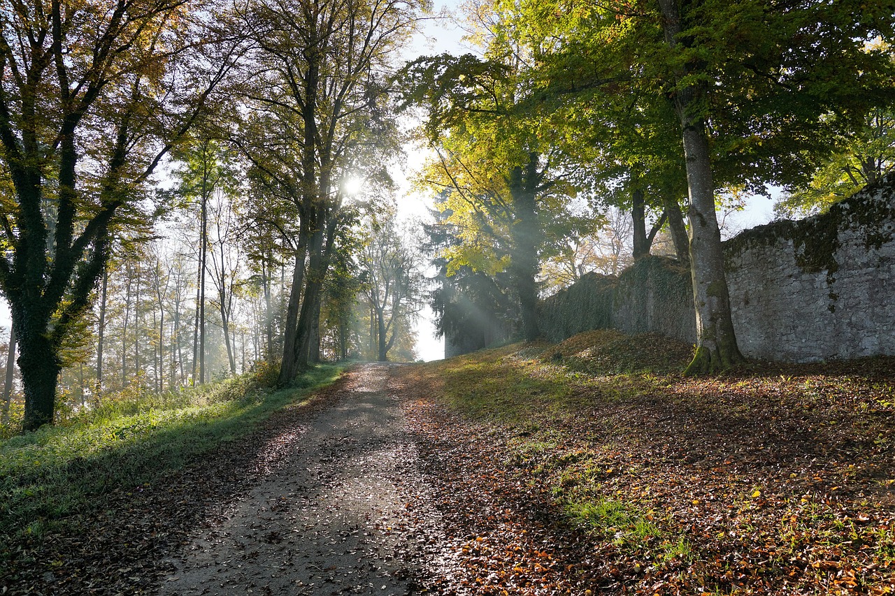 autumn hike tuttlingen free photo