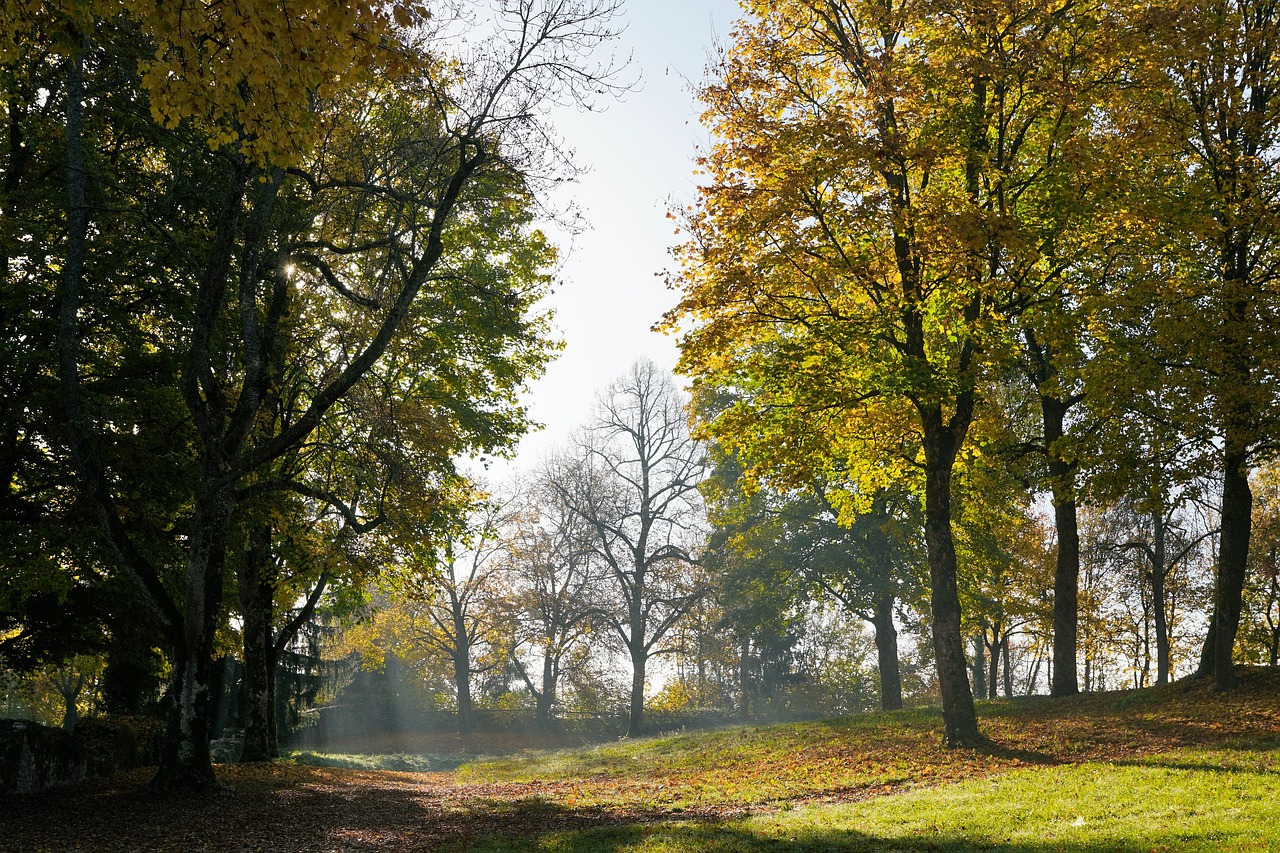 autumn hike tuttlingen free photo