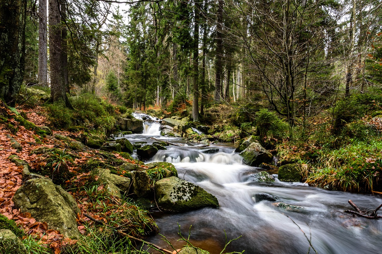 autumn waterfall resin free photo