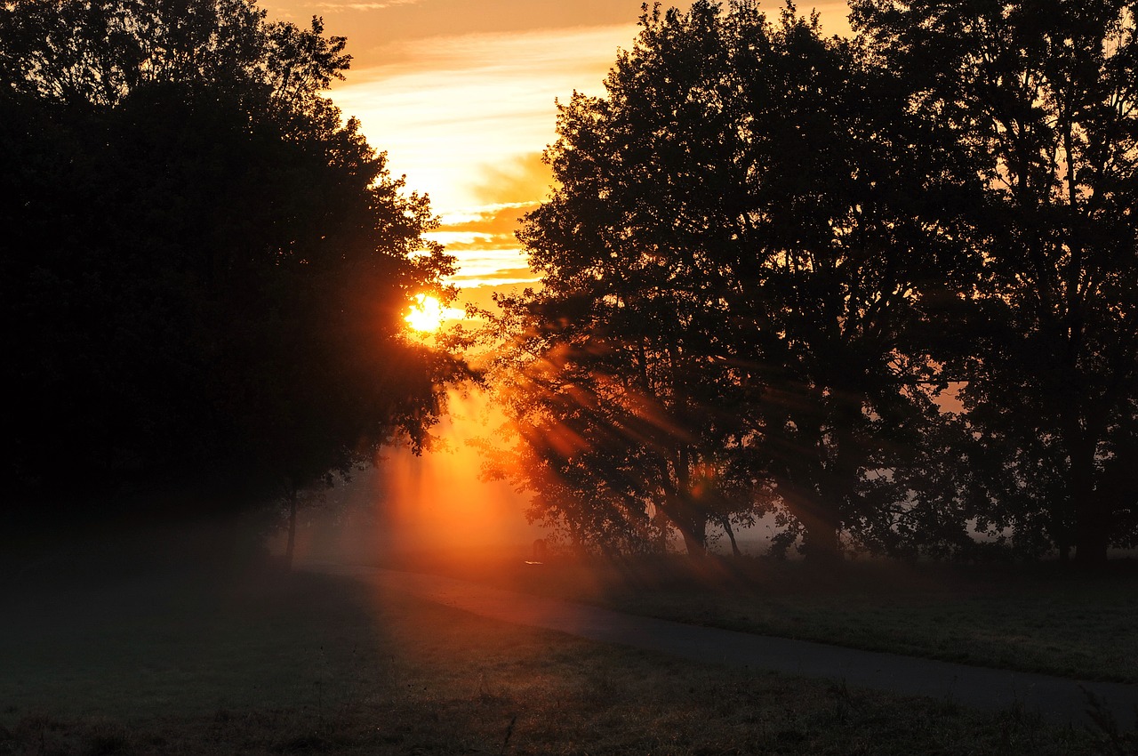 autumn dawn back light free photo