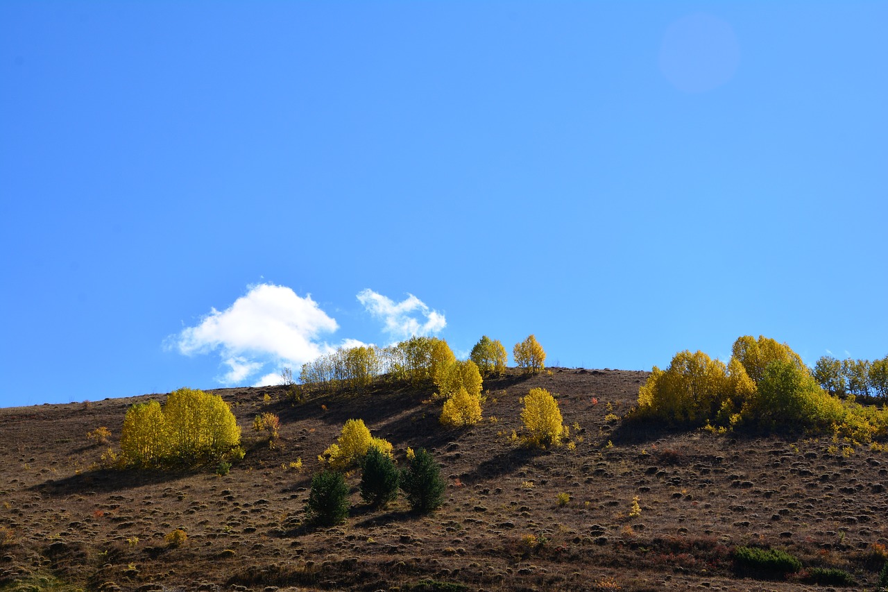 autumn season nature free photo