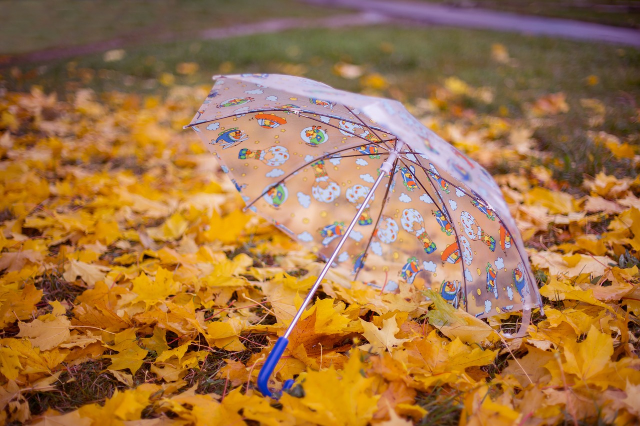 autumn umbrella listopad free photo