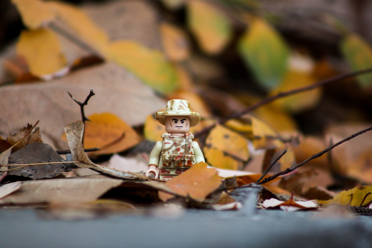 autumn leaves yellow free photo