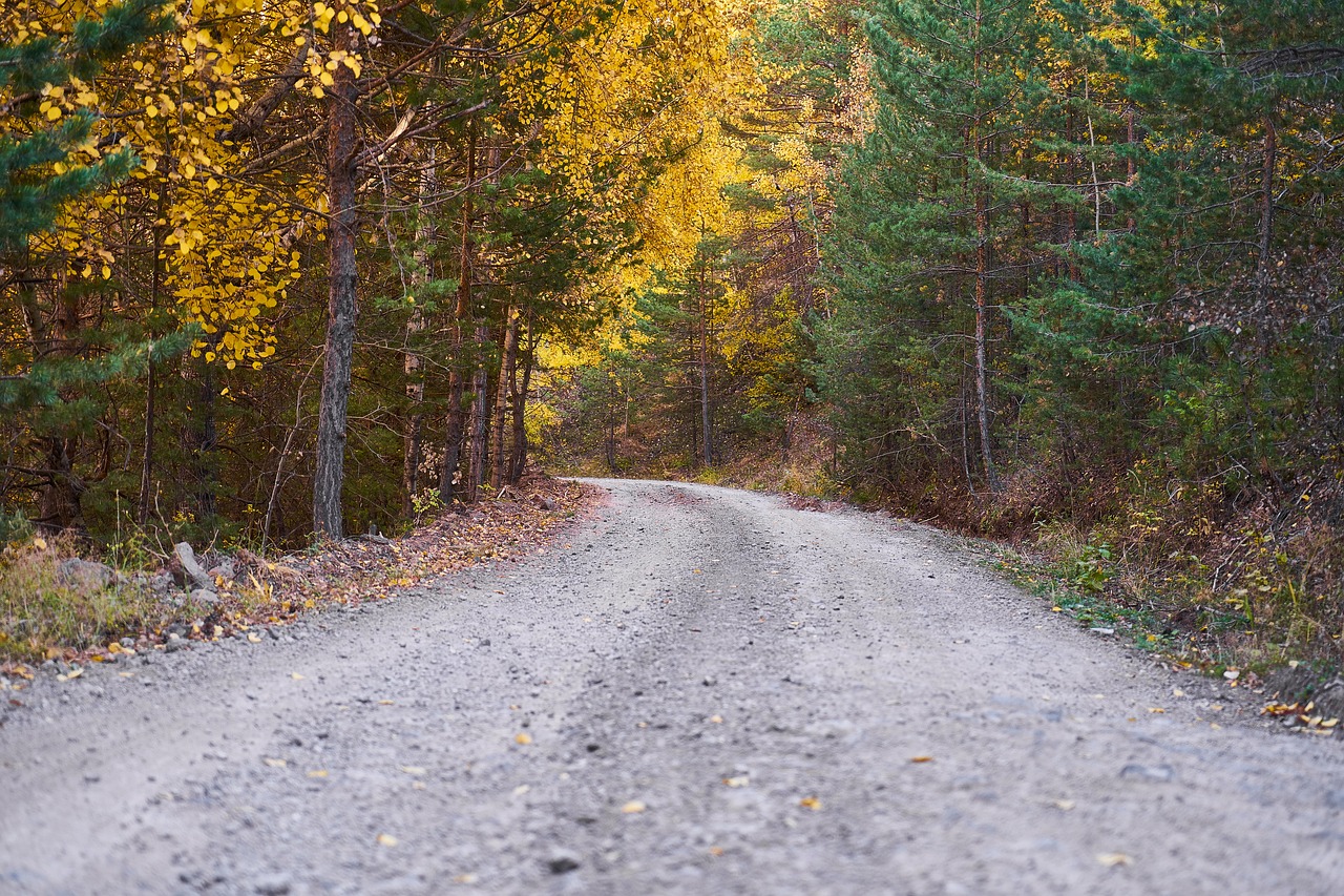 autumn season landscape free photo