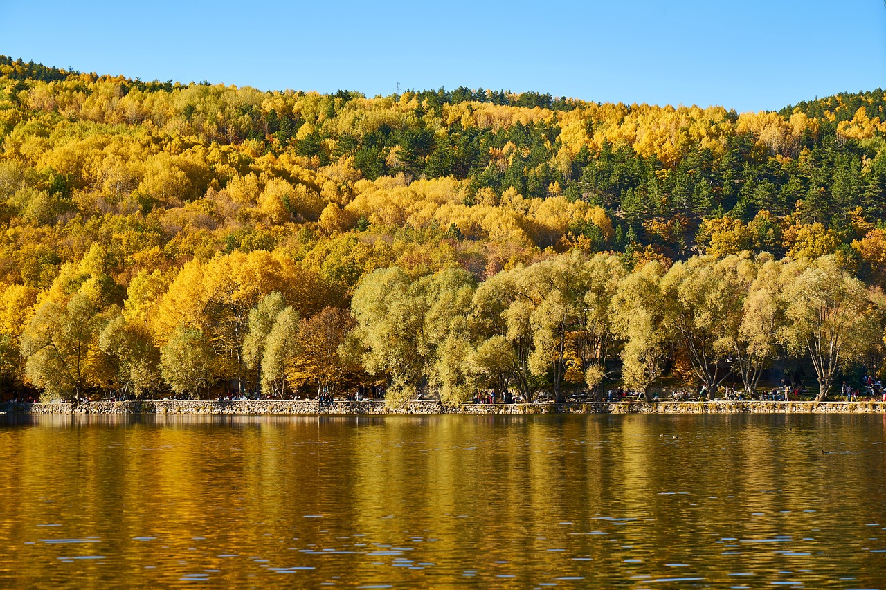 autumn season landscape free photo