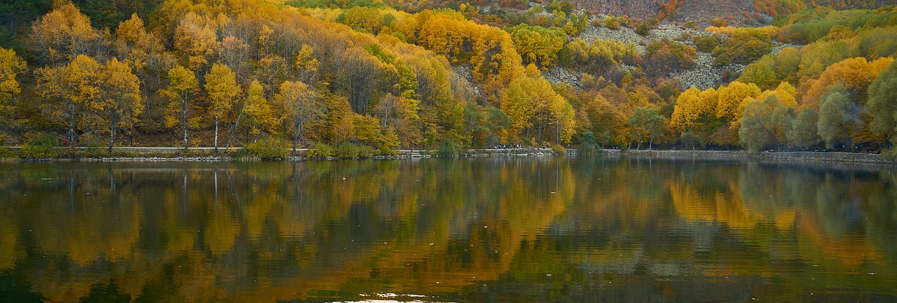 autumn season landscape free photo