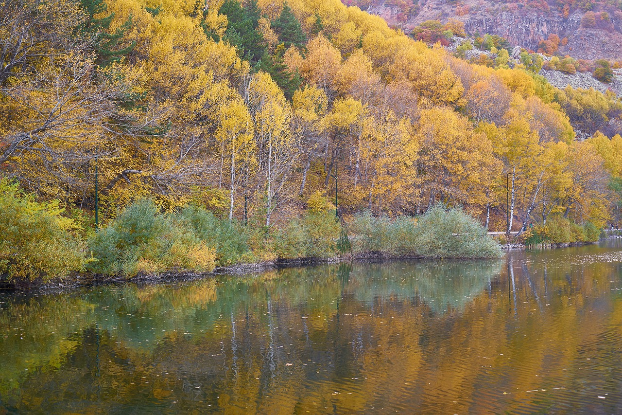 autumn season landscape free photo