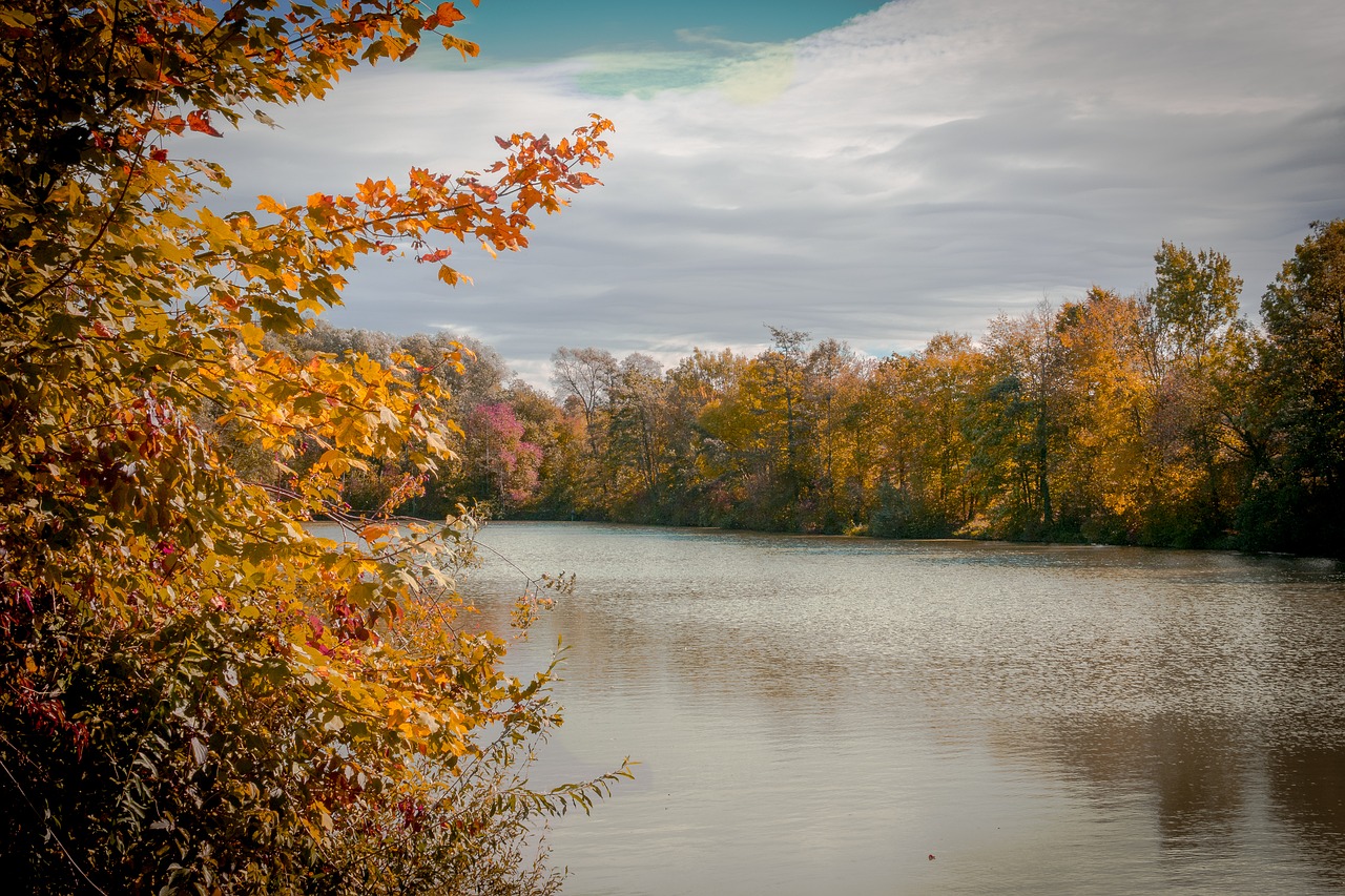 autumn tree lake free photo