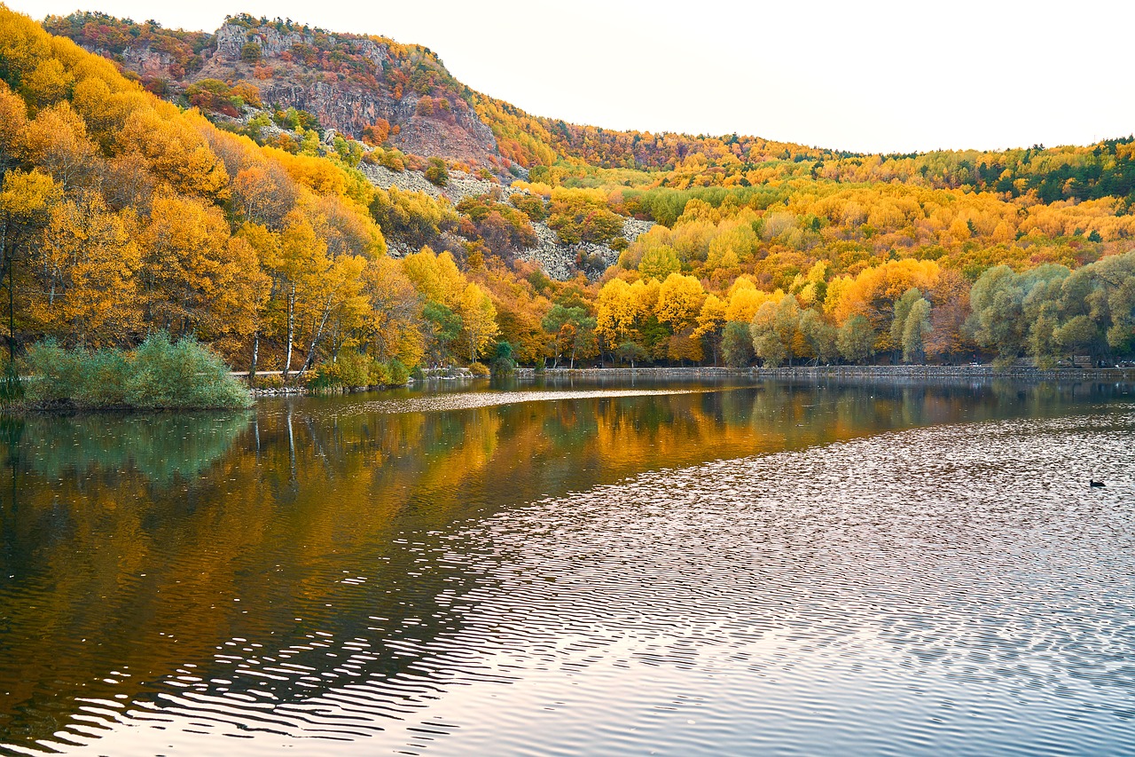 autumn trees lake free photo