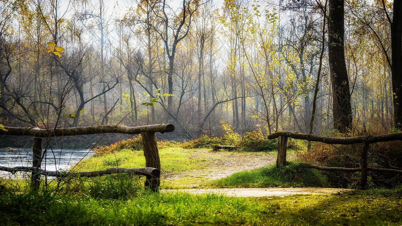 autumn bridge river free photo