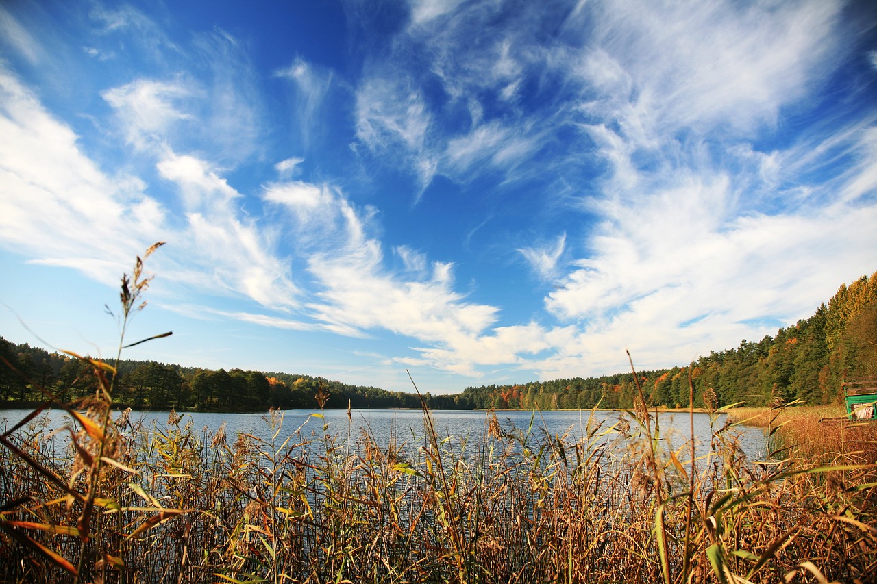 autumn lake forest free photo