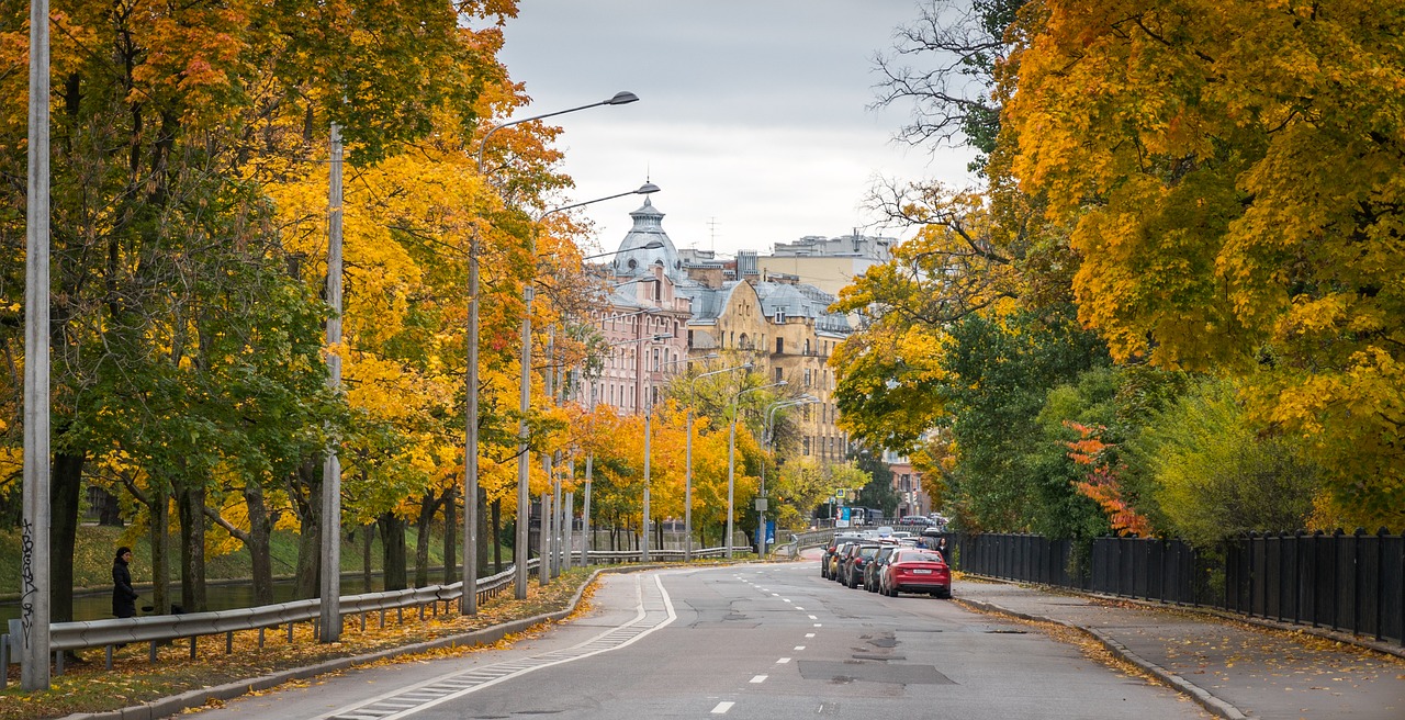 autumn road sheet free photo