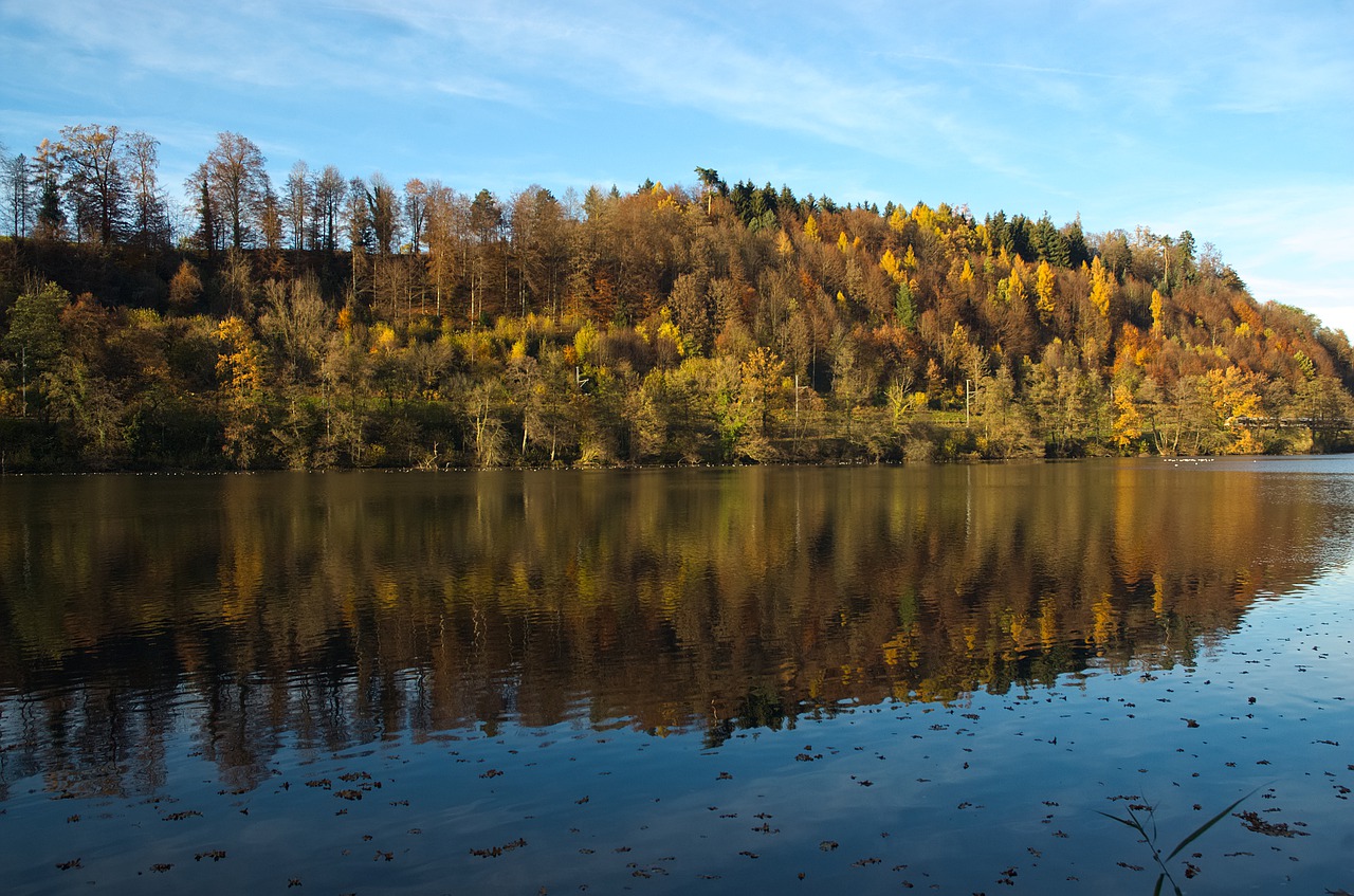 autumn autumn forest mirroring free photo