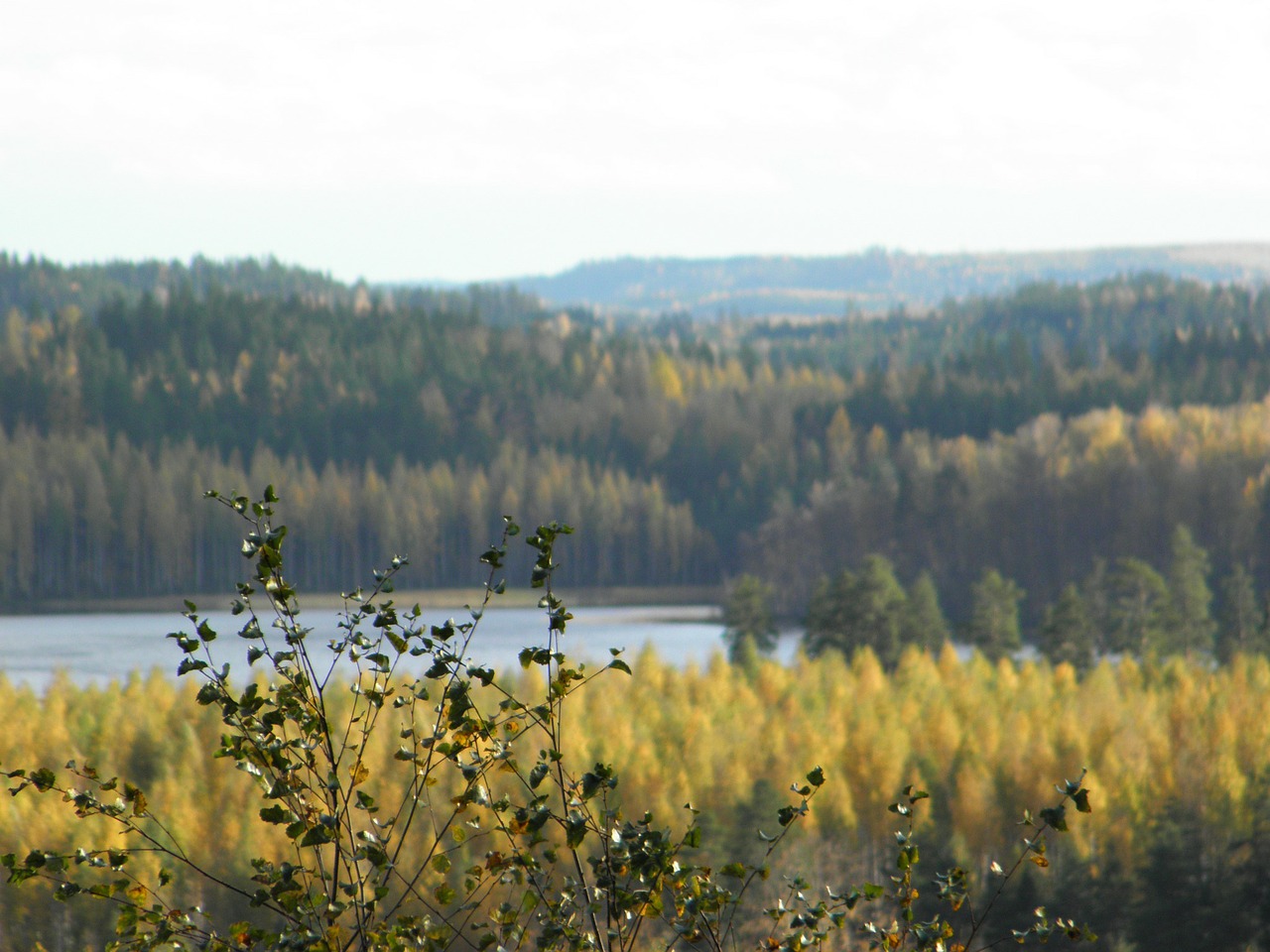 autumn archipelago saimaa free photo