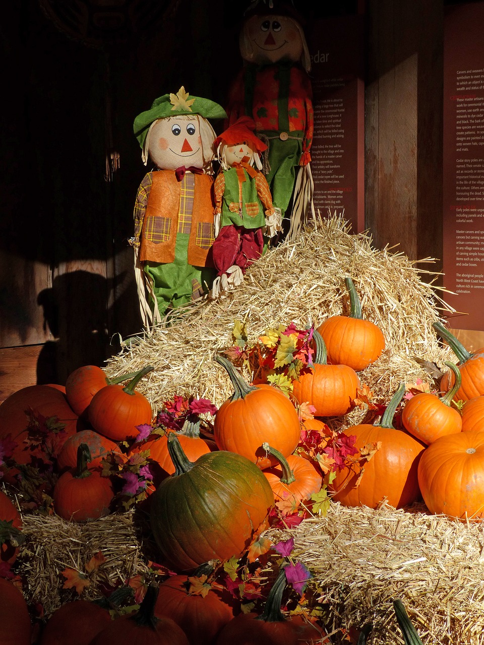 autumn  pumpkin  still life free photo