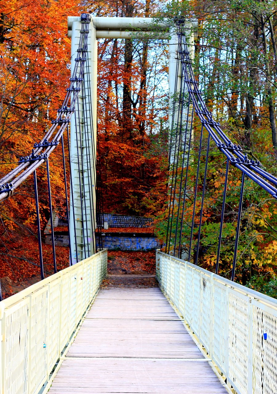 autumn  bridge  bridge cable free photo