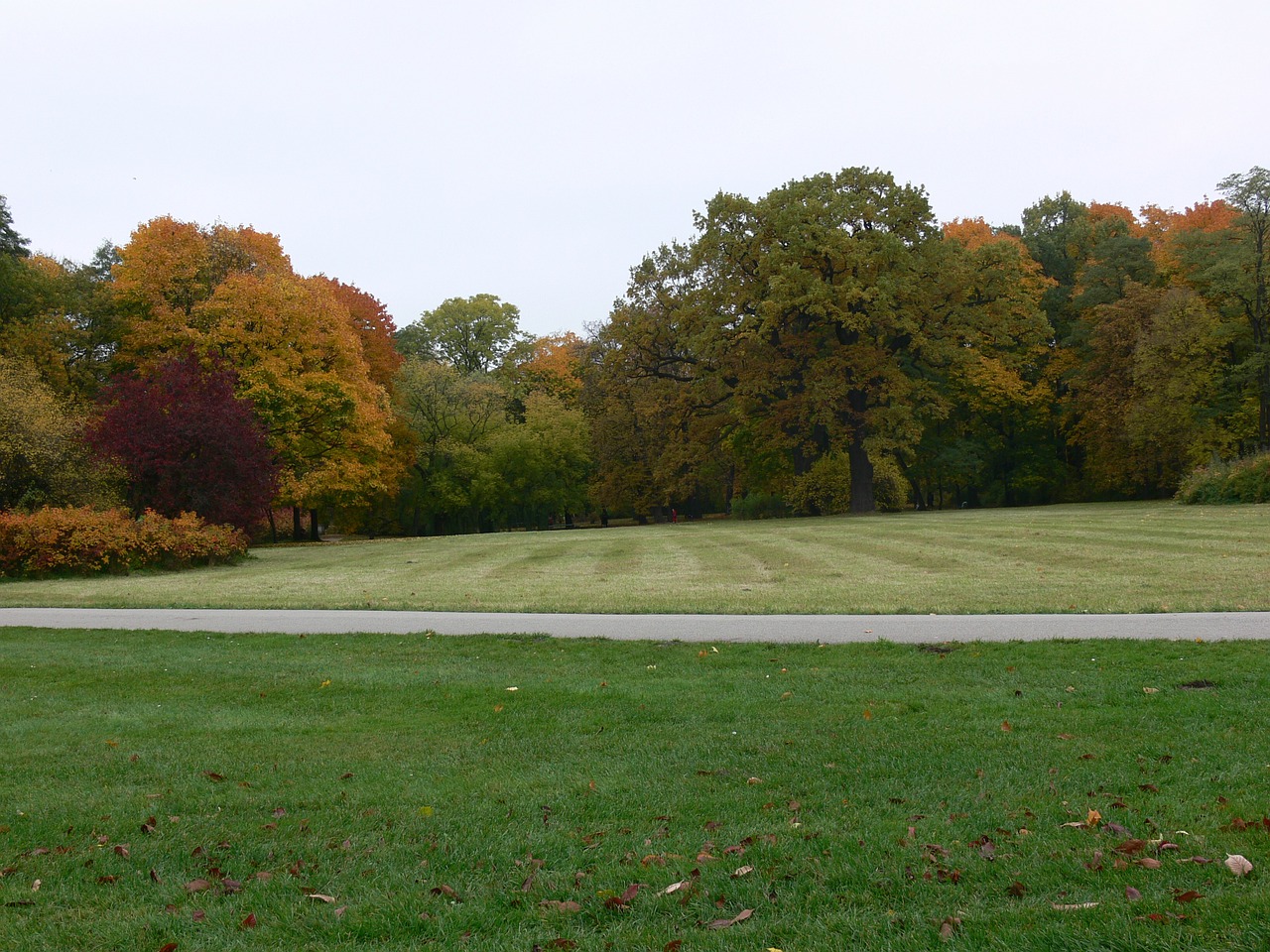 autumn garden tree free photo