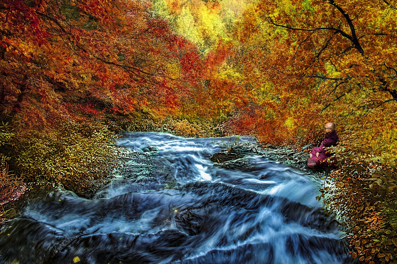 autumn  colorful  scenery free photo